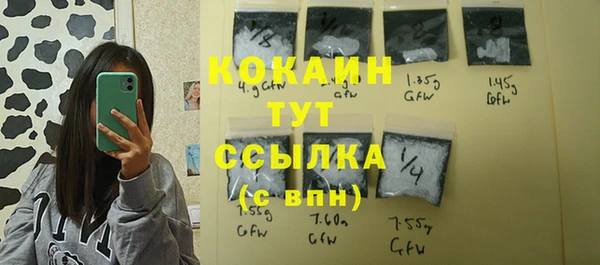 сатива Елабуга