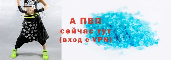 ПСИЛОЦИБИНОВЫЕ ГРИБЫ Рославль
