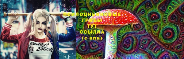 метамфетамин Ельня