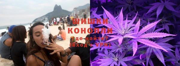 твердый Ростов