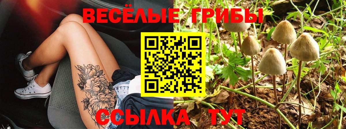 Галлюциногенные грибы прущие грибы  Вход с VPN  Галлюциногенные грибы MAGIC MUSHROOMS  Сальск 
