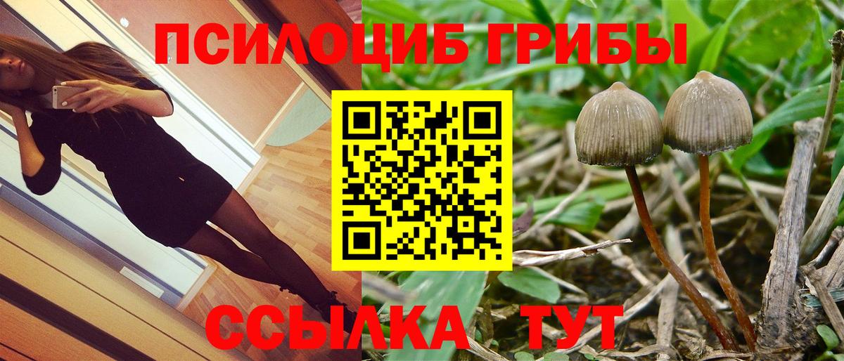 Псилоцибиновые грибы мухоморы Сальск